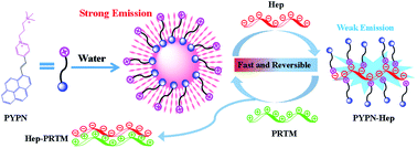 Graphical abstract: An electrostatically regulated organic self-assembly for rapid and sensitive detection of heparin in serum