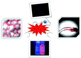 Graphical abstract: A fluorescent probe for rapid detection of low concentration mercury ions and its application in biological cells