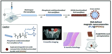 Graphical abstract: Long-term in vivo performances of polylactide/iron oxide nanoparticles core–shell fibrous nanocomposites as MRI-visible magneto-scaffolds