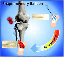 Graphical abstract: Shape-memory balloon offering simultaneous thermo/chemotherapies to improve anti-osteosarcoma efficacy