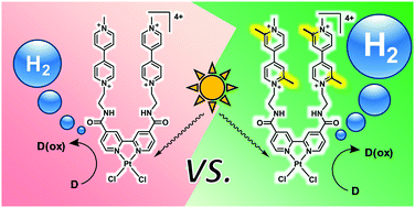 Graphical abstract: Redox tuning in Pt(bpy)-viologen catalyst-acceptor dyads enabling photocatalytic hydrogen evolution from water