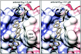 Graphical abstract: A targeted covalent small molecule inhibitor of HIV-1 fusion
