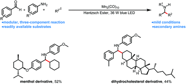 Graphical abstract: Visible-light-mediated multicomponent reaction for secondary amine synthesis