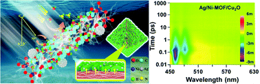 Graphical abstract: Charge-transfer dynamics at a Ag/Ni-MOF/Cu2O heterostructure in photoelectrochemical NH3 production