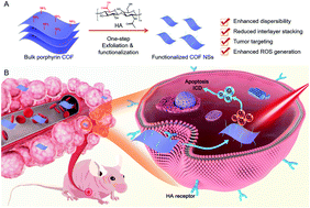 Graphical abstract: Ultrathin functionalized covalent organic framework nanosheets for tumor-targeted photodynamic therapy