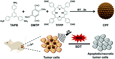 Graphical abstract: Synthesis of porphyrin-incorporating covalent organic frameworks for sonodynamic therapy