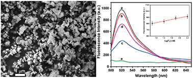 Graphical abstract: Hexagonal boron nitride nanosheet as an effective nanoquencher for the fluorescence detection of microRNA