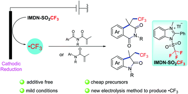 Graphical abstract: Electrochemical trifluoromethylation/cyclization for the synthesis of isoquinoline-1,3-diones and oxindoles