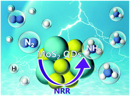 Graphical abstract: MoS2 quantum dots for electrocatalytic N2 reduction