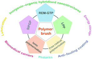 Graphical abstract: Brush-like polymers: design, synthesis and applications