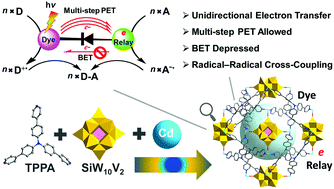 Graphical abstract: Dye–polyoxometalate coordination polymer as a photo-driven electron pump for photocatalytic radical coupling reactions