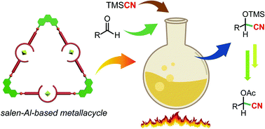 Graphical abstract: Constructing a triangular metallacycle with salen–Al and its application to a catalytic cyanosilylation reaction