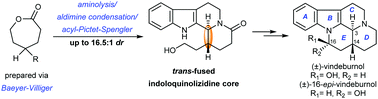 Graphical abstract: Stereoselective total synthesis of (±)-vindeburnol and (±)-16-epi-vindeburnol