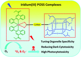 Graphical abstract: Tuning the organelle specificity and cytotoxicity of iridium(iii) photosensitisers for enhanced phototheranostic applications