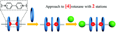 Graphical abstract: Threading of three rings on two stations: a convergent approach to [4]rotaxane
