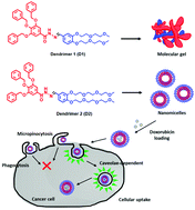 Graphical abstract: Modular amphiphilic poly(aryl ether)-based supramolecular nanomicelles: an efficient endocytic drug carrier
