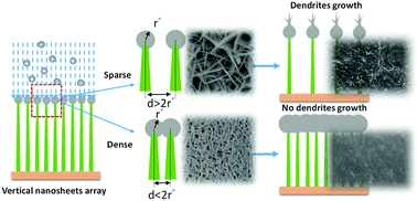 Graphical abstract: Densely vertical-grown NiFe hydroxide nanosheets on a 3D nickel skeleton as a dendrite-free lithium anode