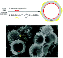 Graphical abstract: Janus bifunctional periodic mesoporous organosilica