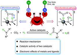 Graphical abstract: Mechanism of iron complexes catalyzed in the N-formylation of amines with CO2 and H2: the superior performance of N–H ligand methylated complexes