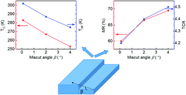 Graphical abstract: Symmetry mismatch controlled ferroelastic domain ordering and the functional properties of manganite films on cubic miscut substrates