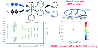 Graphical abstract: Ultrafast Laplace NMR to study metal–ligand interactions in reversible polarisation transfer from parahydrogen