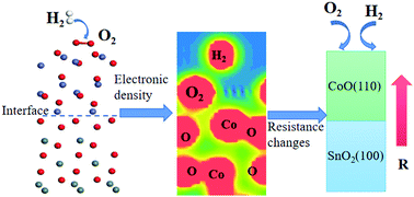 Graphical abstract: First-principles calculations on the resistance and electronic properties of H2 adsorption on a CoO–SnO2 heterojunction surface
