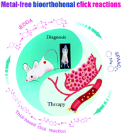 Graphical abstract: Metal-free bioorthogonal click chemistry in cancer theranostics