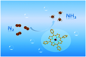 Graphical abstract: Single-atom metal–N4 site molecular electrocatalysts for ambient nitrogen reduction