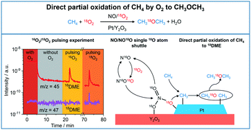 Graphical abstract: Isotopic 18O/16O substitution study on the direct partial oxidation of CH4 to dimethyl ether over a Pt/Y2O3 catalyst using NO/O2 as an oxidant