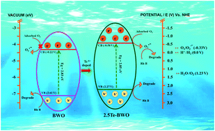 Graphical abstract: Promoting superoxide generation in Bi2WO6 by less electronegative substitution for enhanced photocatalytic performance: an example of Te doping