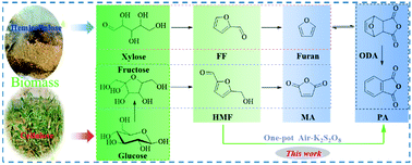 Graphical abstract: Insights into the catalytic mechanism of 5-hydroxymethfurfural to phthalic anhydride with MoO3/Cu(NO3)2 in one-pot