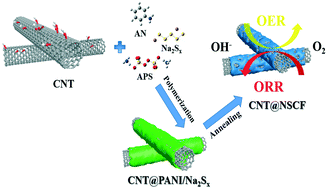 Graphical abstract: In situ coating of a N, S co-doped porous carbon thin film on carbon nanotubes as an advanced metal-free bifunctional oxygen electrocatalyst for Zn–air batteries