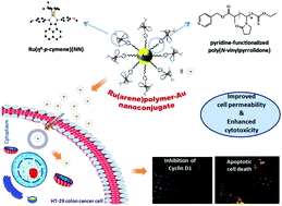 Graphical abstract: N,N-Ru(ii)-p-cymene-poly(N-vinylpyrrolidone) surface functionalized gold nanoparticles: from organoruthenium complex to nanomaterial for antiproliferative activity