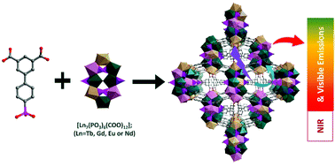Graphical abstract: Multimetal lanthanide phosphonocarboxylate frameworks: structures, colour tuning and near-infrared emission