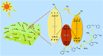 Graphical abstract: Construction of a PCN/Fe2O3/CdS double Z-type heterojunction photocatalyst and its application in the oxidative coupling reaction of benzylamine