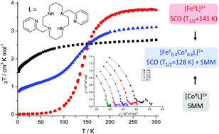 Graphical abstract: A multifunctional magnetic material based on a solid solution of Fe(ii)/Co(ii) complexes with a macrocyclic cyclam-based ligand