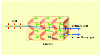 Graphical abstract: LaTeBO5: a new borotellurite with a large birefringence activated by the highly distorted [Te(iv)O4] group