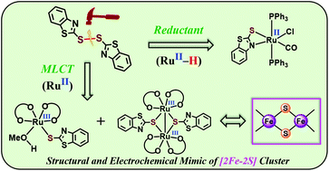 Graphical abstract: Redox induced S–S bond cleavage of 2,2′-dithiobisbenzothiazole – leading to a [2Ru-2S] core analogous to [2Fe-2S] cluster