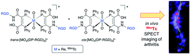 Graphical abstract: One-step, kit-based radiopharmaceuticals for molecular SPECT imaging: a versatile diphosphine chelator for 99mTc radiolabelling of peptides
