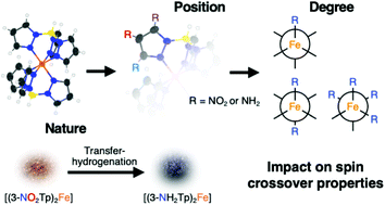 Graphical abstract: Precise control of the degree and regioselectivity of functionalization in nitro- and amino-functionalized di(trispyrazolylborato)iron(ii) spin crossover complexes