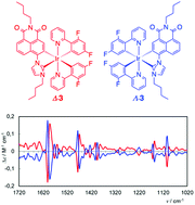 Graphical abstract: Enantiopure, luminescent, cyclometalated Ir(iii) complexes with N-heterocyclic carbene-naphthalimide chromophore: design, vibrational circular dichroism and TD-DFT calculations