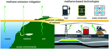 Graphical abstract: Roles and opportunities for microbial anaerobic oxidation of methane in natural and engineered systems