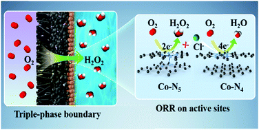 Graphical abstract: Approaching a high-rate and sustainable production of hydrogen peroxide: oxygen reduction on Co–N–C single-atom electrocatalysts in simulated seawater
