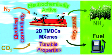 Graphical abstract: Carbon dioxide and nitrogen reduction reactions using 2D transition metal dichalcogenide (TMDC) and carbide/nitride (MXene) catalysts