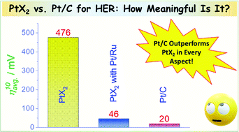 Graphical abstract: Layered 2D PtX2 (X = S, Se, Te) for the electrocatalytic HER in comparison with Mo/WX2 and Pt/C: are we missing the bigger picture?