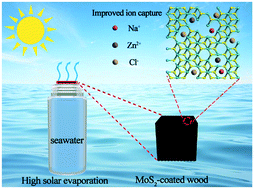 Graphical abstract: Formation of S defects in MoS2-coated wood for high-efficiency seawater desalination