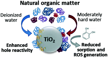 Graphical abstract: Natural organic matter adsorption conditions influence photocatalytic reaction pathways of phosphate-treated titanium dioxide nanoparticles
