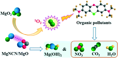 Graphical abstract: Constructing a brand-new advanced oxidation process system composed of MgO2 nanoparticles and MgNCN/MgO nanocomposites for organic pollutant degradation