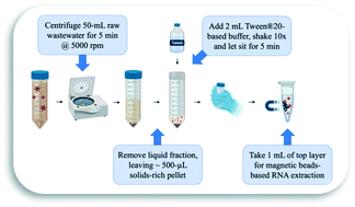 Graphical abstract: Development of a rapid pre-concentration protocol and a magnetic beads-based RNA extraction method for SARS-CoV-2 detection in raw municipal wastewater