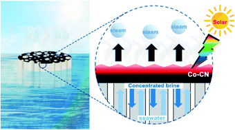 Graphical abstract: Cobalt nanoparticle–carbon nanoplate as the solar absorber of a wood aerogel evaporator for continuously efficient desalination
